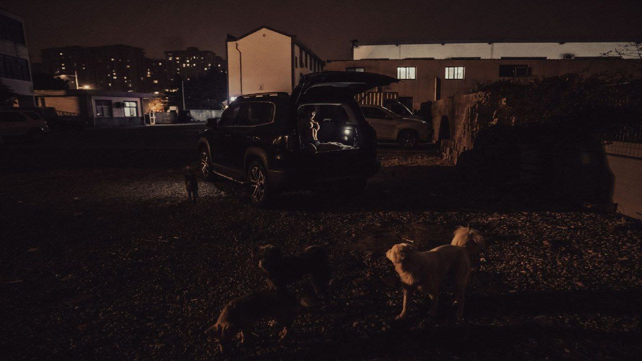 免费看少妇高潮A片特黄,各类老熟女老熟妇视频在线观看,国产福利视频一区二区,亚洲欧美自拍内射高潮